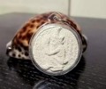 阿贊旁師父佛歷2562粉質魯士尊者