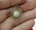 龍婆實(shí)韻2526-2536年人緣桃花路翁