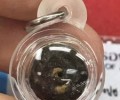 龍婆doo佛歷2532年經粉路翁